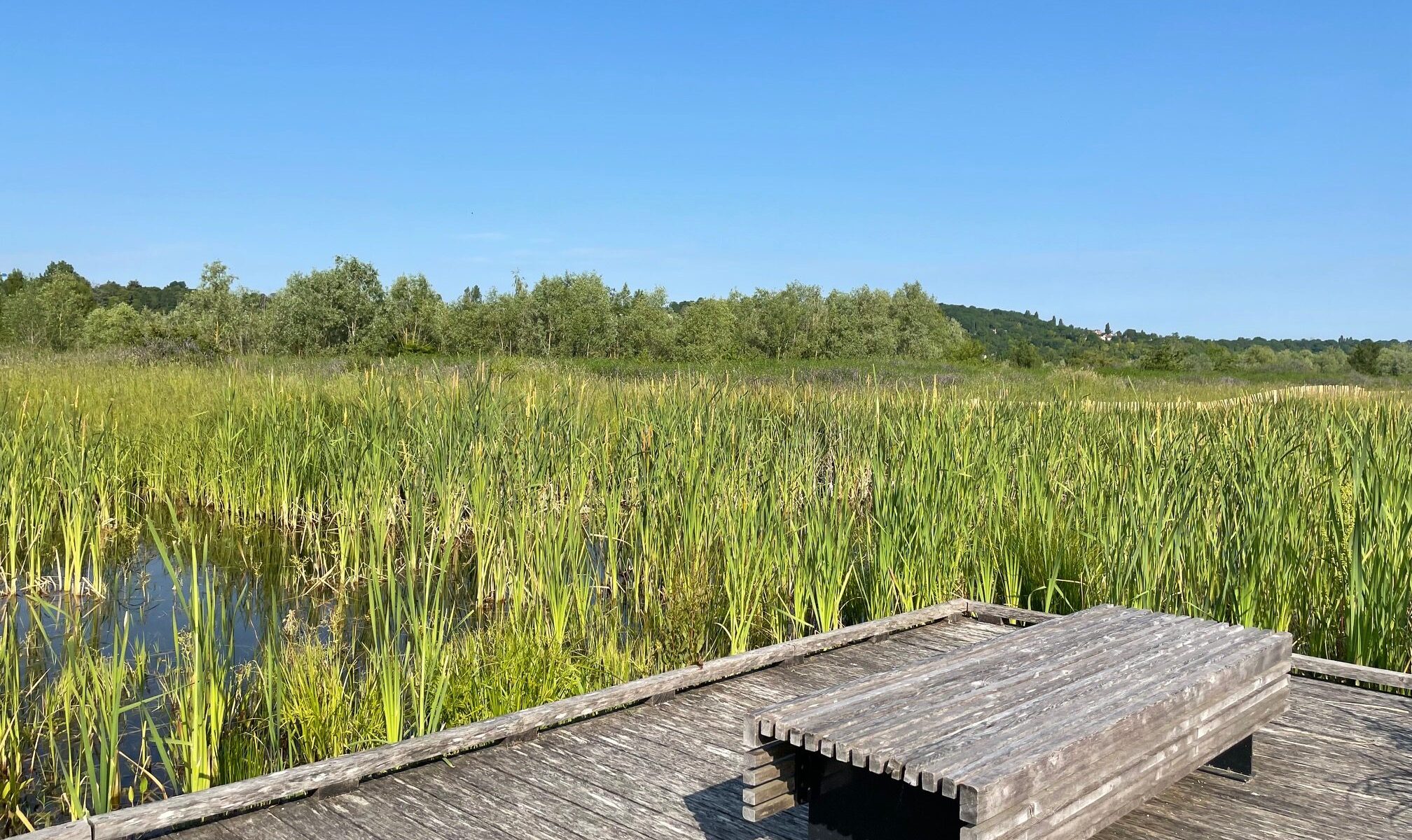 Parc départemental du Peuple de l'herbe_Carrières-sous-Poissy