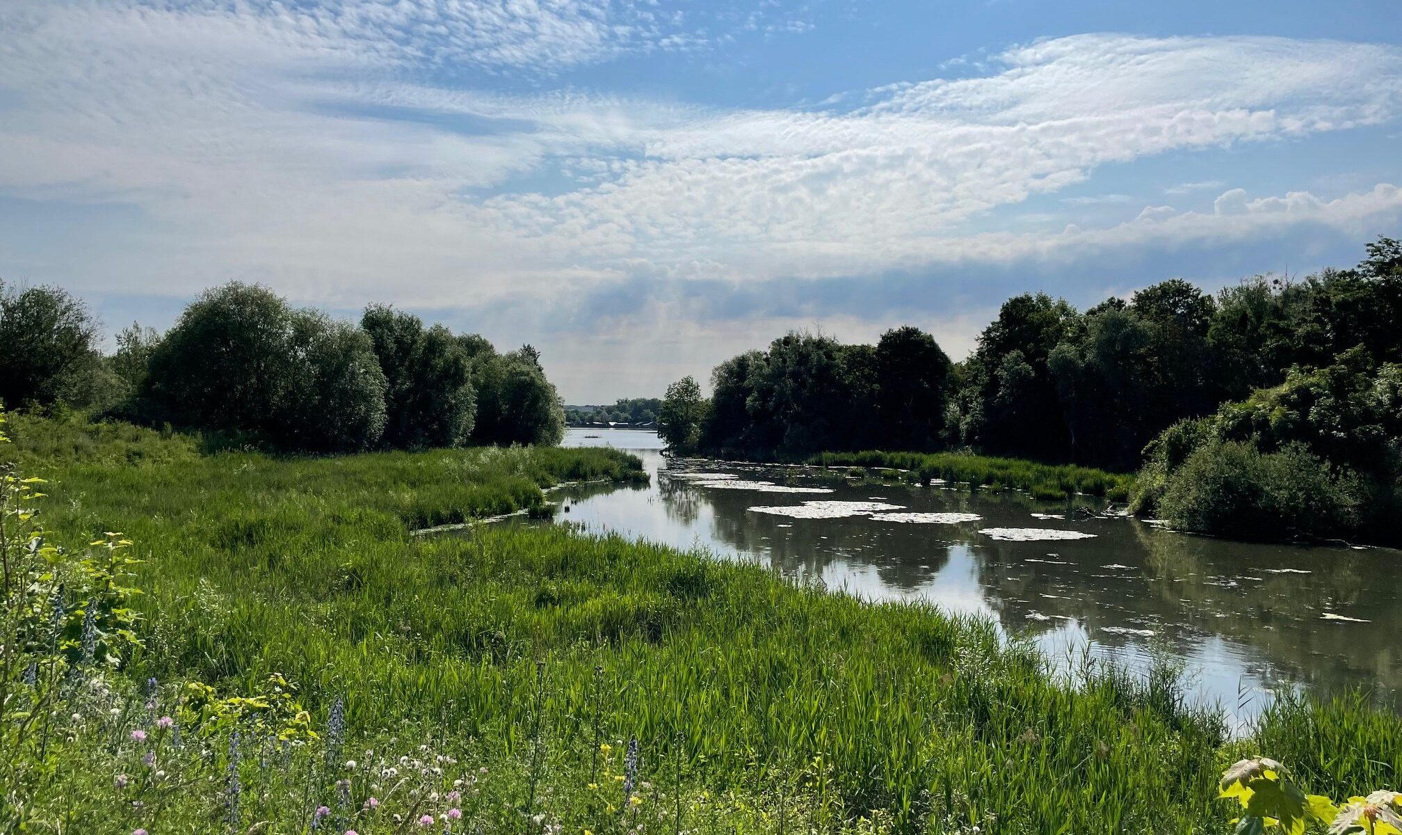 Parc départemental du Peuple de l'herbe_Carrières-sous-Poissy