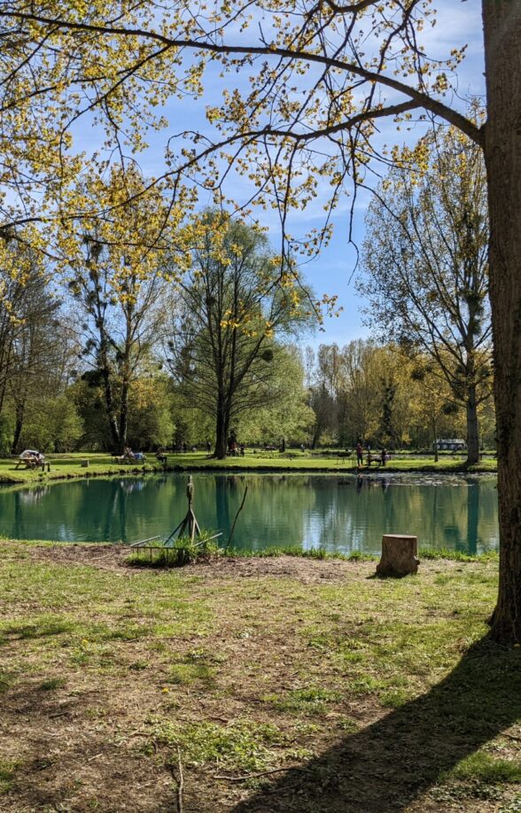 Etangs de Manon (Malowe Nature)_Rosay