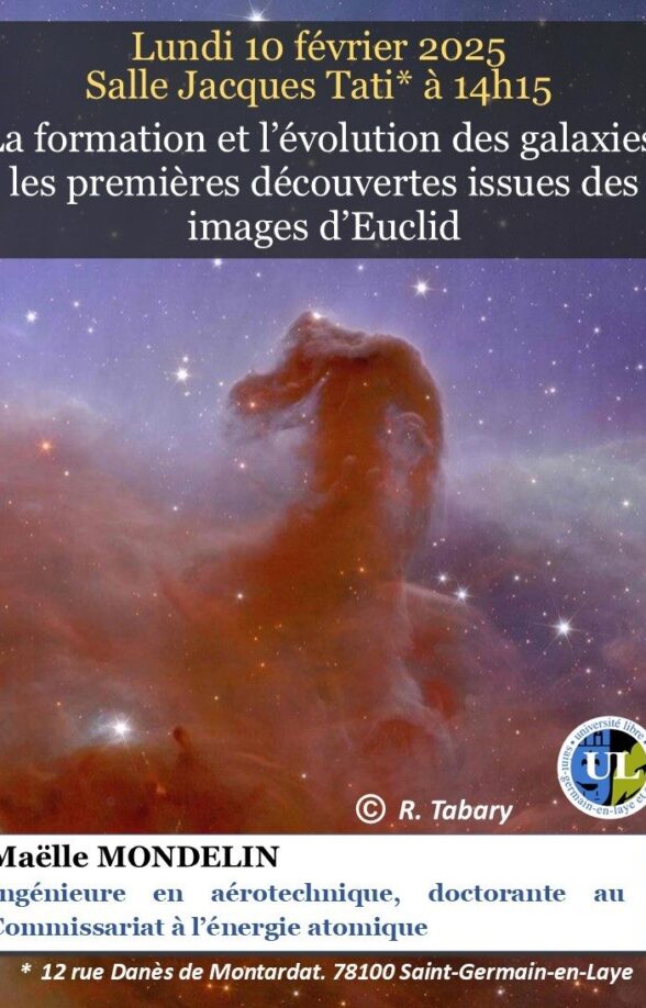 L'oiseau dans l'espace de C. Brancusi et le procès de l'art moderne