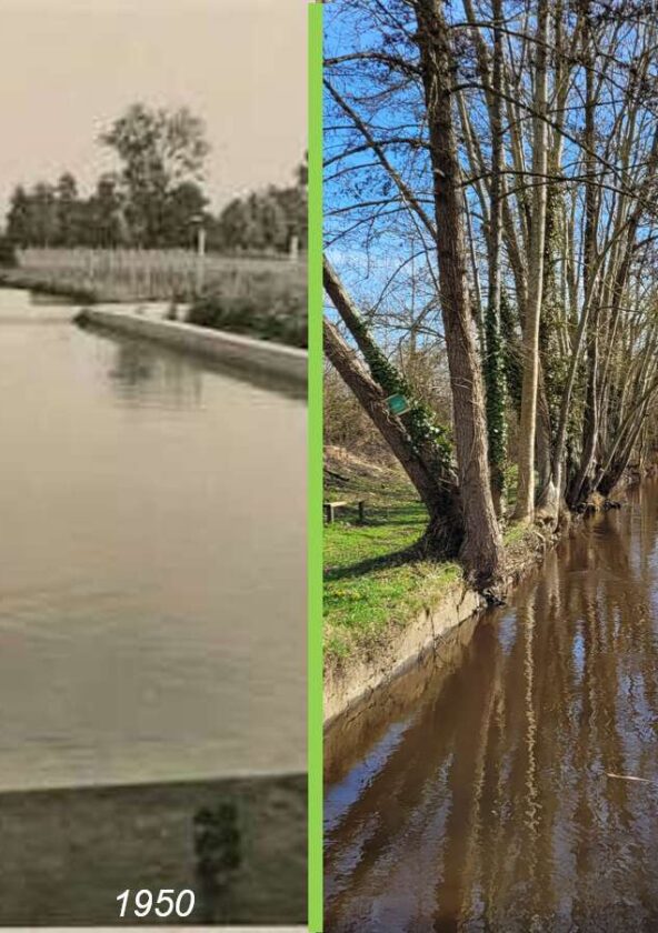 Bief de l'ancien moulin_Maulette