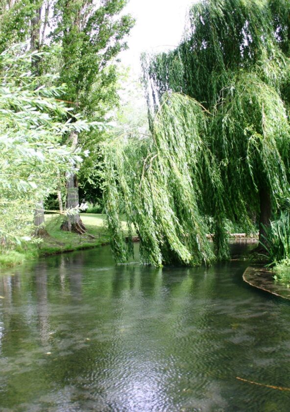 Sources de la Vaucouleurs_Boissets