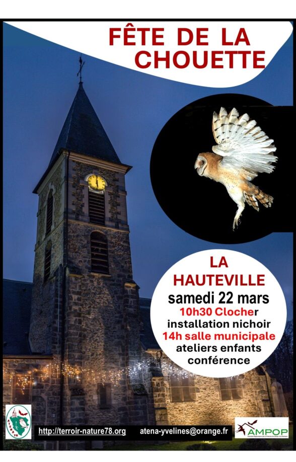 Fête de la chouette_La Hauteville