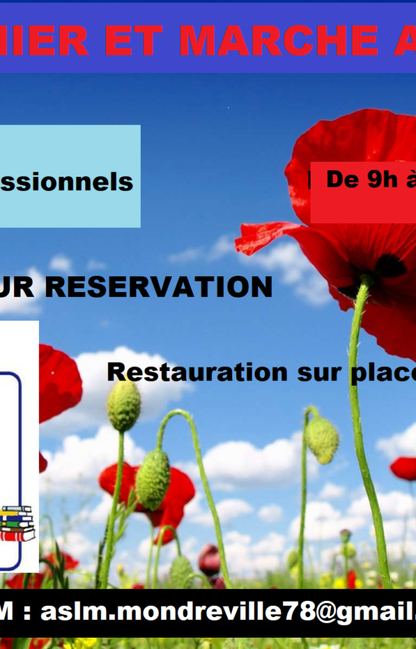 Vide grenier et marché artisanal_Mondreville