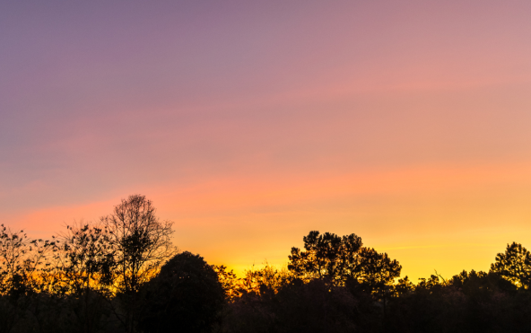 Sortie nature : Balade au crépuscule_Crespières