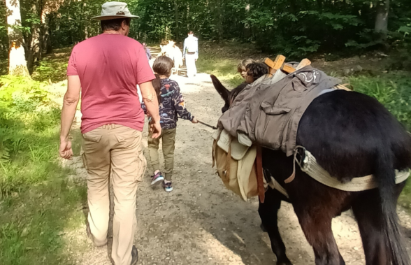 Sortie nature : Balade en forêt avec les ânes_Magnanville