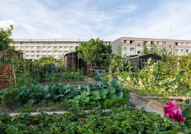 Esprit Jardin - Visite des jardins partagés_Versailles