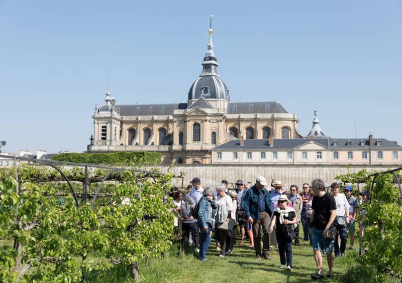 Esprit Jardin - Visite « particulière » du Potager du Roi_Versailles