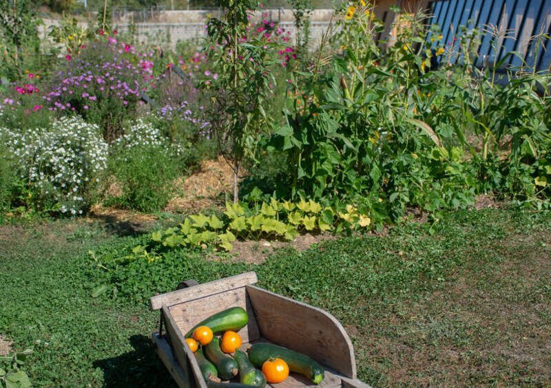 Esprit Jardin - Portes ouvertes de la Ferme Nature et Découvertes_Versailles