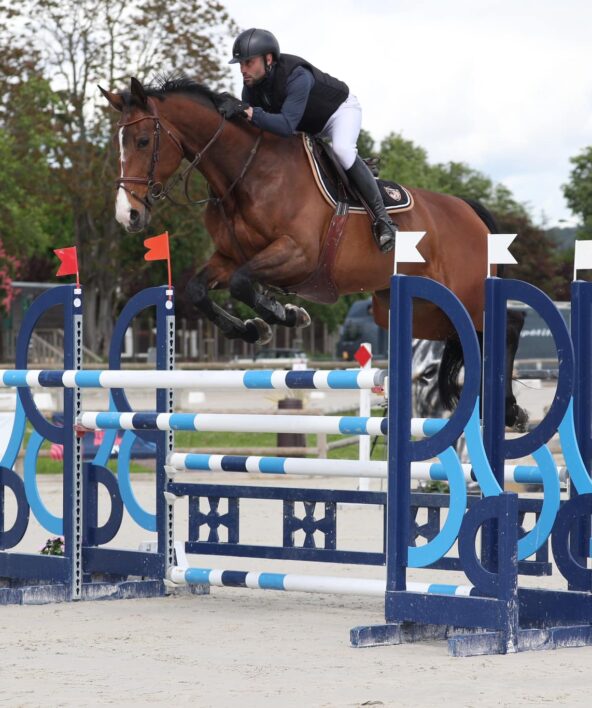 Concours de Saut d'obstacles_Maisons-Laffitte