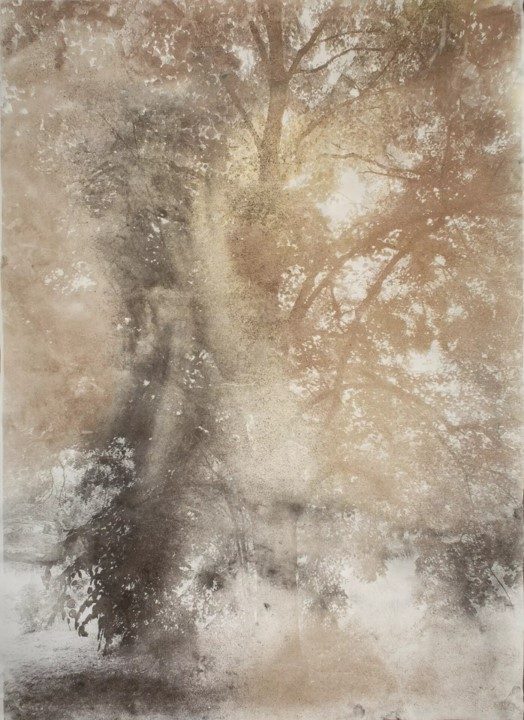 Exposition de Lionel Sabatté_Saint-Arnoult-en-Yvelines