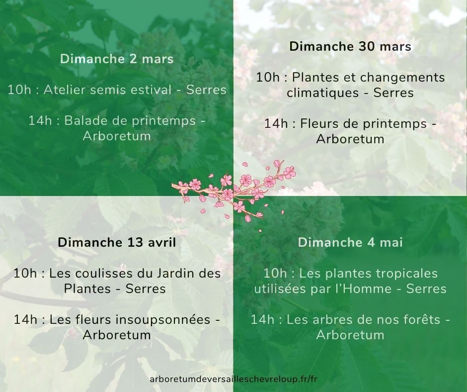 Visites découvertes de l'Arboretum de Versailles-Chèvreloup: Fleurs de Printemps_Le Chesnay-Rocquencourt