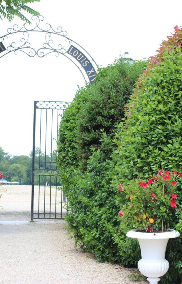 Atelier Dégustation Histoire et Vin_Saint-Germain-en-Laye