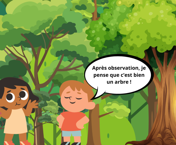Sortie nature : J'apprends à reconnaitre les arbres_Magnanville