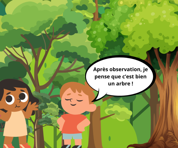 Sortie nature : J'apprends à reconnaitre les arbres_Magnanville