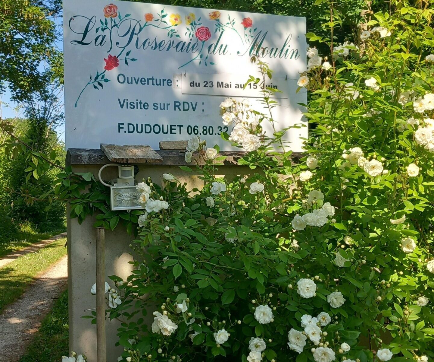 La roseraie du moulin_Prunay-en-Yvelines