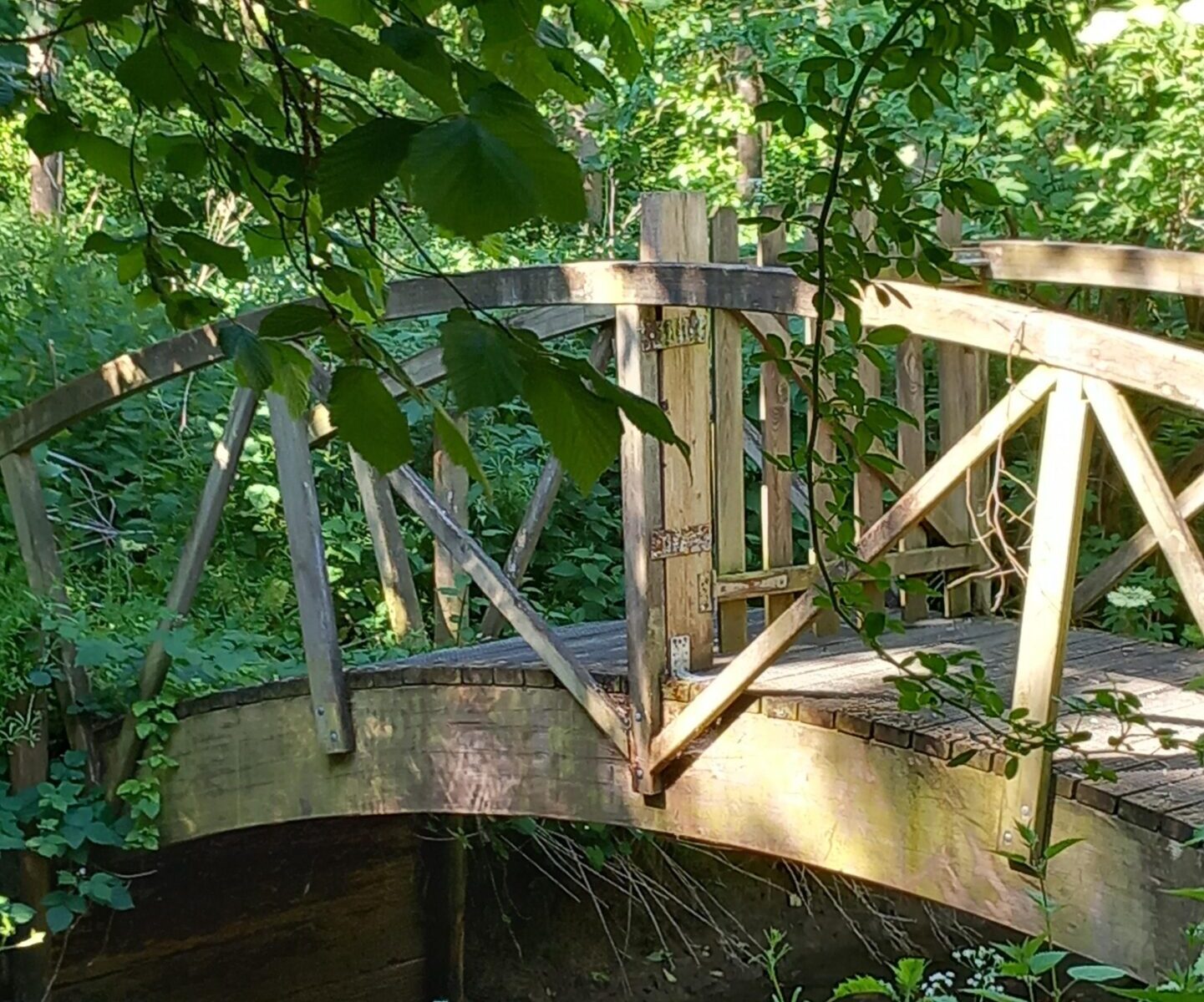 La roseraie du moulin_Prunay-en-Yvelines