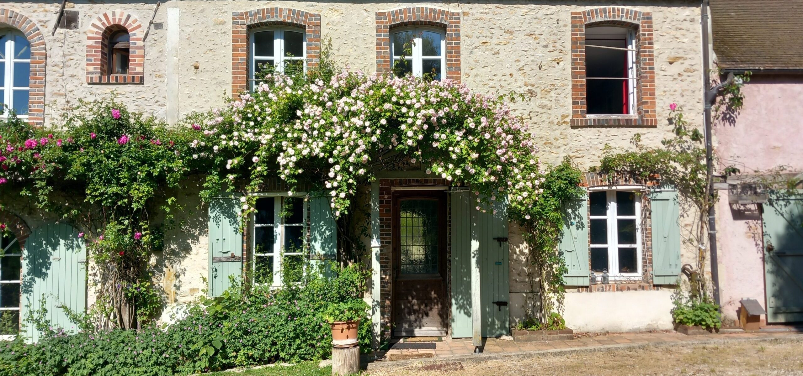 La roseraie du moulin_Prunay-en-Yvelines