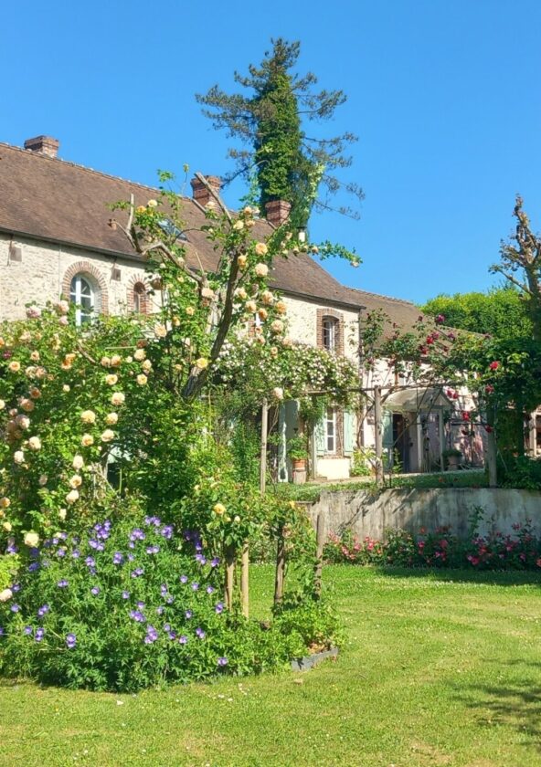 La roseraie du moulin_Prunay-en-Yvelines