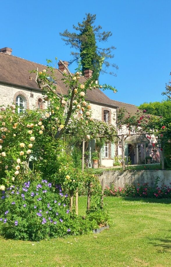 La roseraie du moulin_Prunay-en-Yvelines