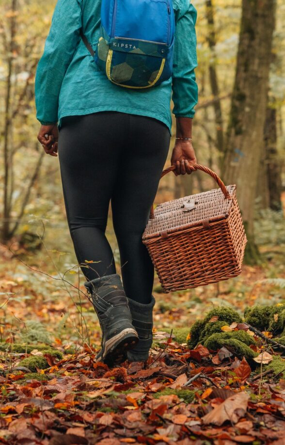Les secrets des champignons en forêt de Marly_Marly-le-Roi