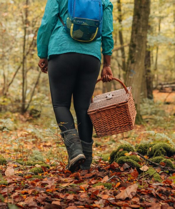Les secrets des champignons en forêt de Marly_Marly-le-Roi