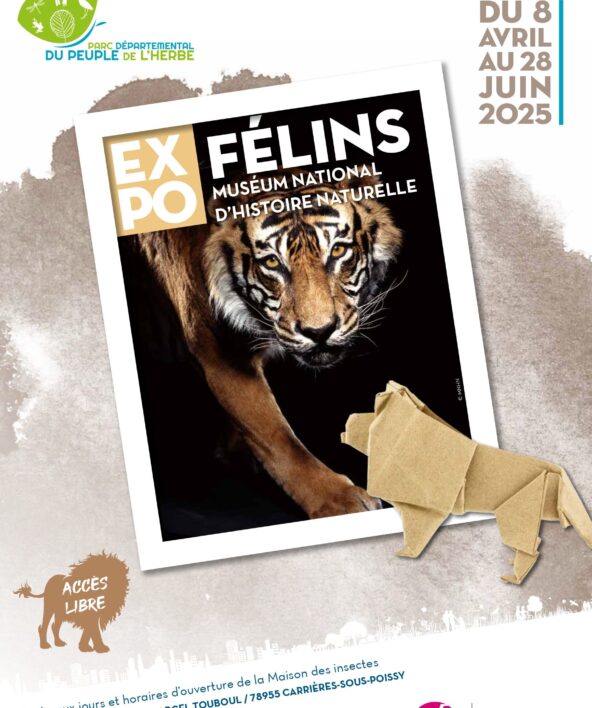Exposition Félins_Carrières-sous-Poissy