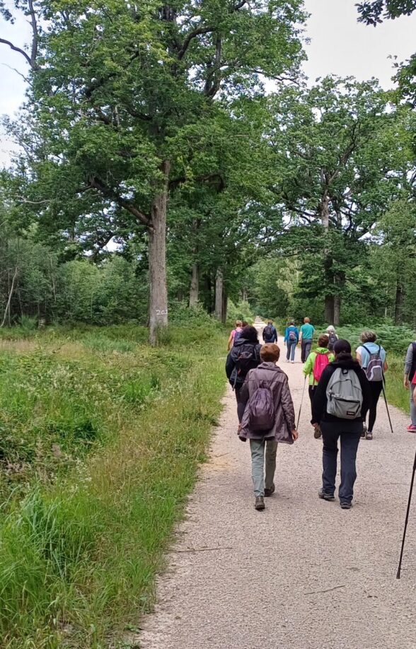 Randonnée accompagnée à Saint-Léger-en-Yvelines_Saint-Léger-en-Yvelines