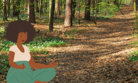 Sortie nature : Yoga et rencontre avec les arbres_Magnanville