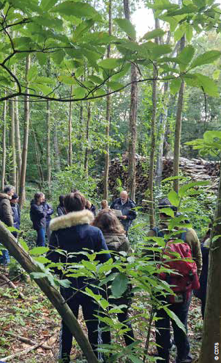 Balade contée en Bois des Gaules_La Celle-les-Bordes