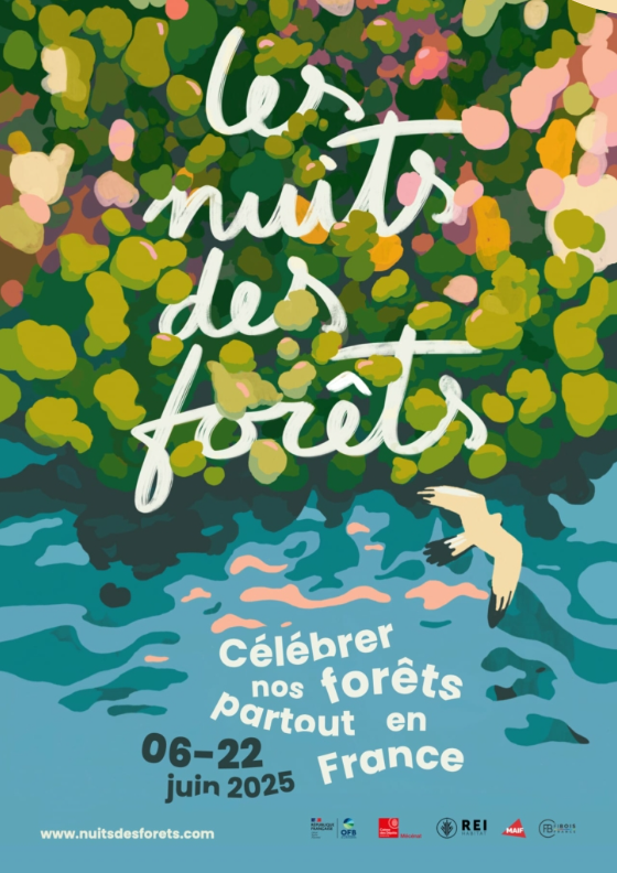 Festival Nuits des forêts_Clairefontaine-en-Yvelines