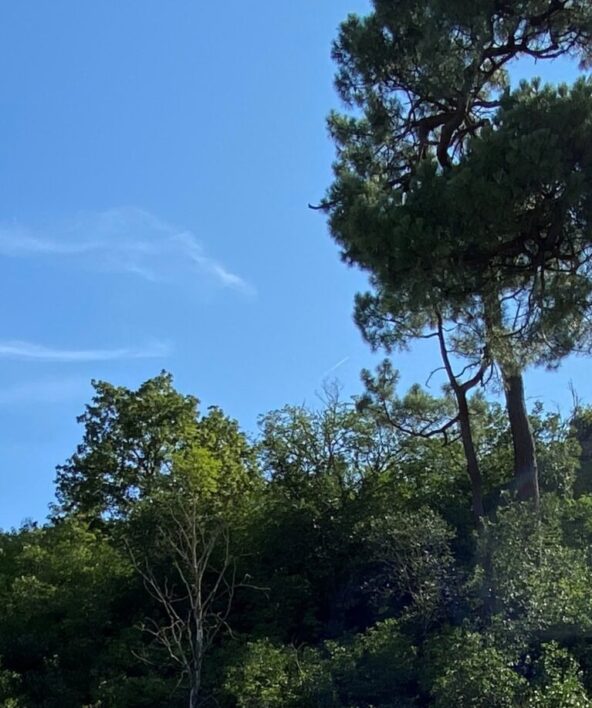 Exposition "Paysage en Vallée de Chevreuse" - Chemins de traverse_Clairefontaine-en-Yvelines