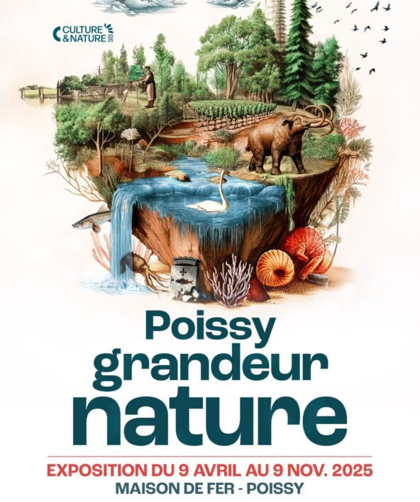 Exposition Poissy Grandeur Nature