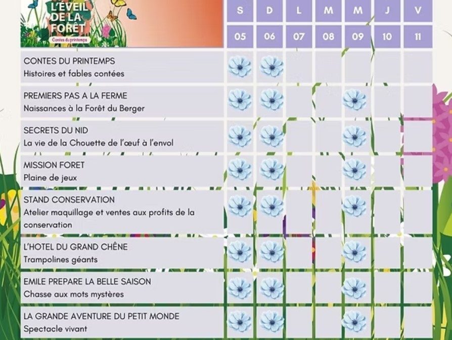 L'Éveil de la forêt_Sonchamp