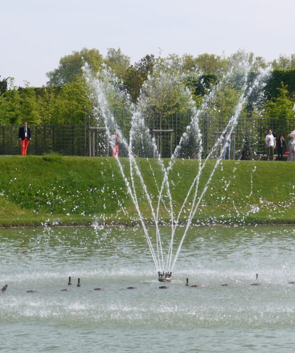 Bosquet du Miroir d'Eau - Jardins Musicaux