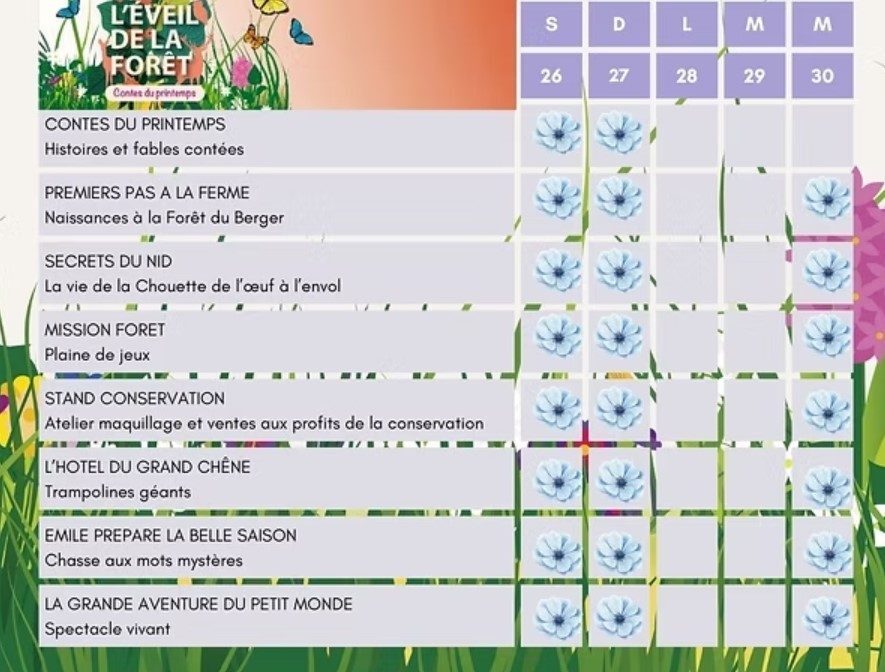L'Éveil de la forêt_Sonchamp