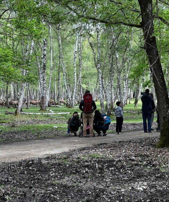 grande chasse aux œufs à l'Espace Rambouillet_Sonchamp