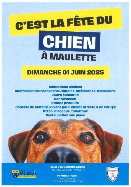 Fête du chien_Maulette