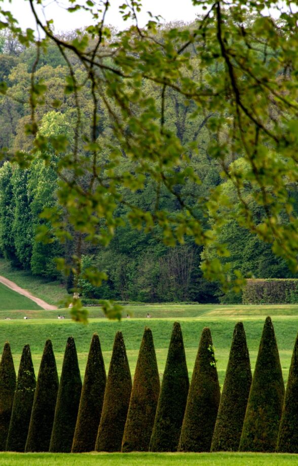 Vue des jardins
