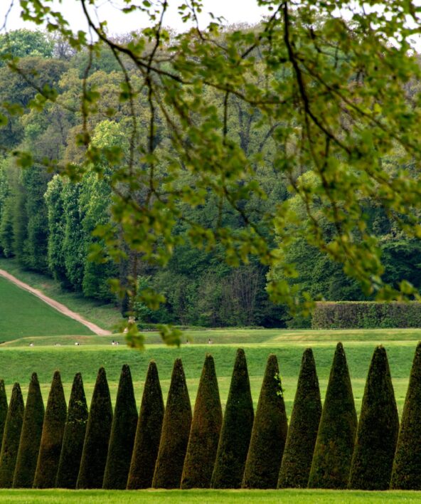 Vue des jardins
