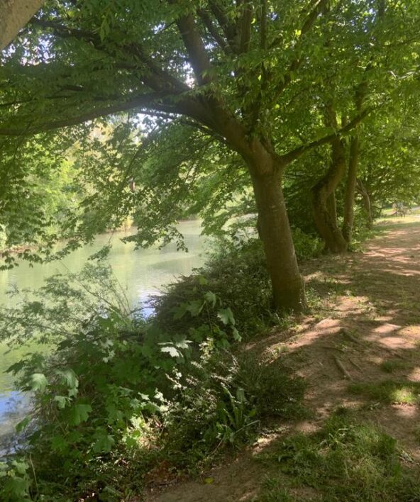 Balade-découverte des berges de Seine_Maisons-Laffitte