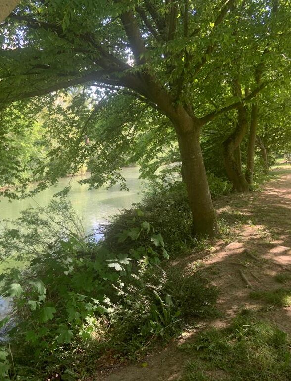 Balade-découverte des berges de Seine_Maisons-Laffitte