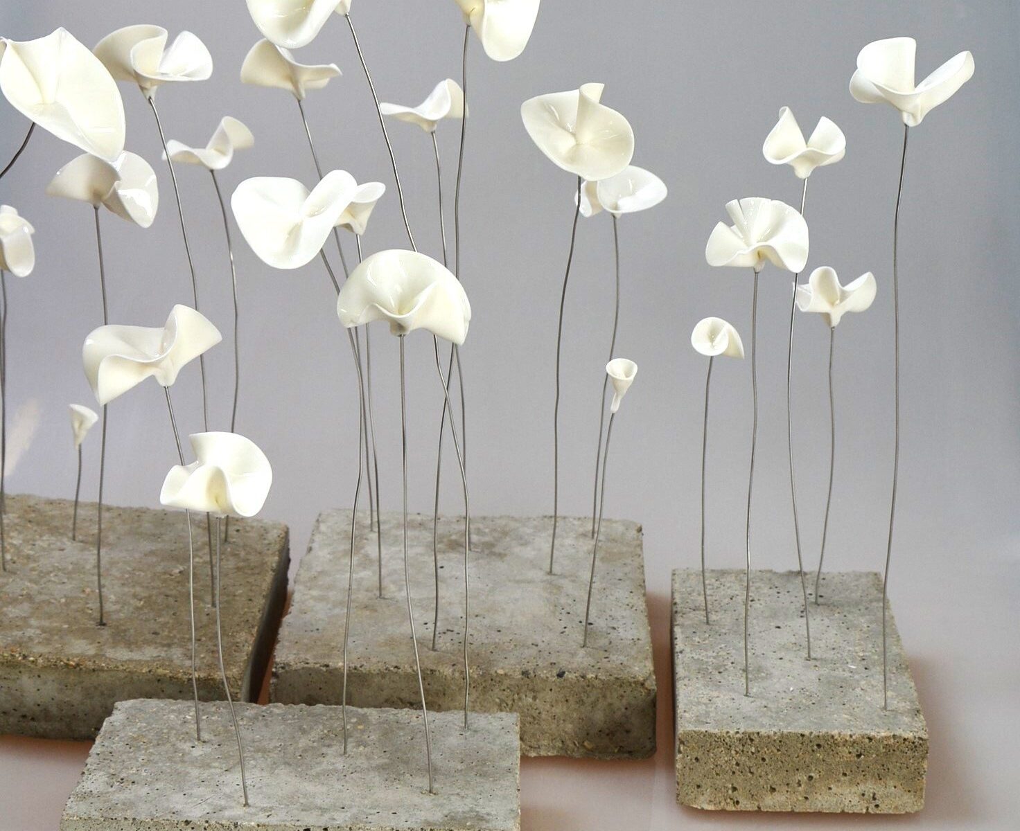 Atelier les Terres blanches_Le Pecq