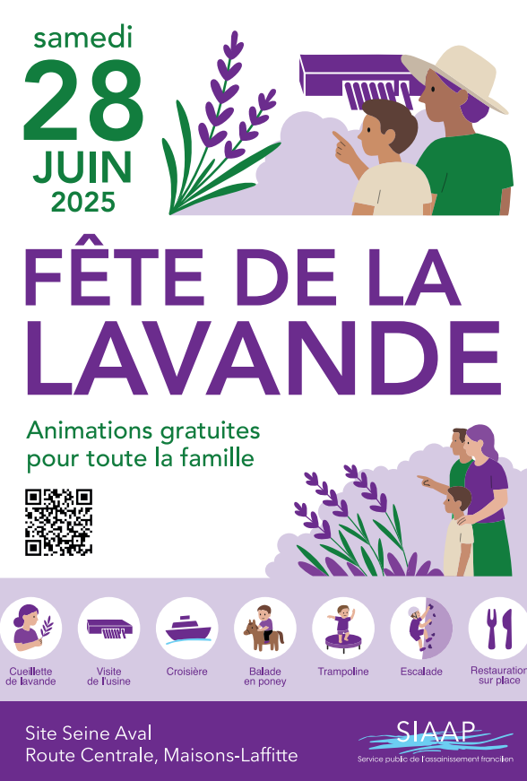 Fête de la Lavande_Maisons-Laffitte