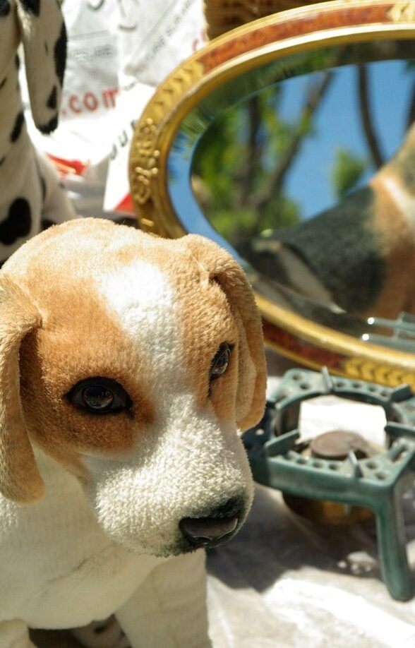 Brocante de Jumeauville_Jumeauville