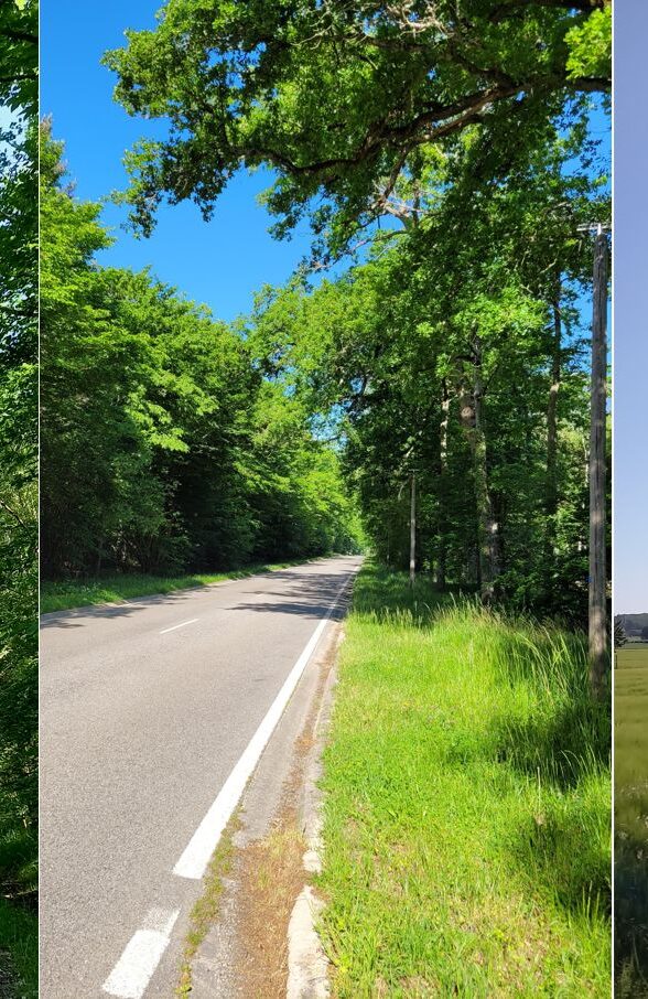 Foret de Rambouillet_Condé-sur-Vesgre