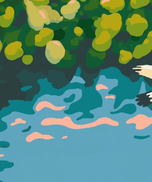 Les nuits des forêts : Rencontre avec le sauvage en Forêt de Rambouillet_Sonchamp