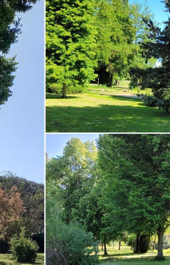 Parc du Douaire_Boissets