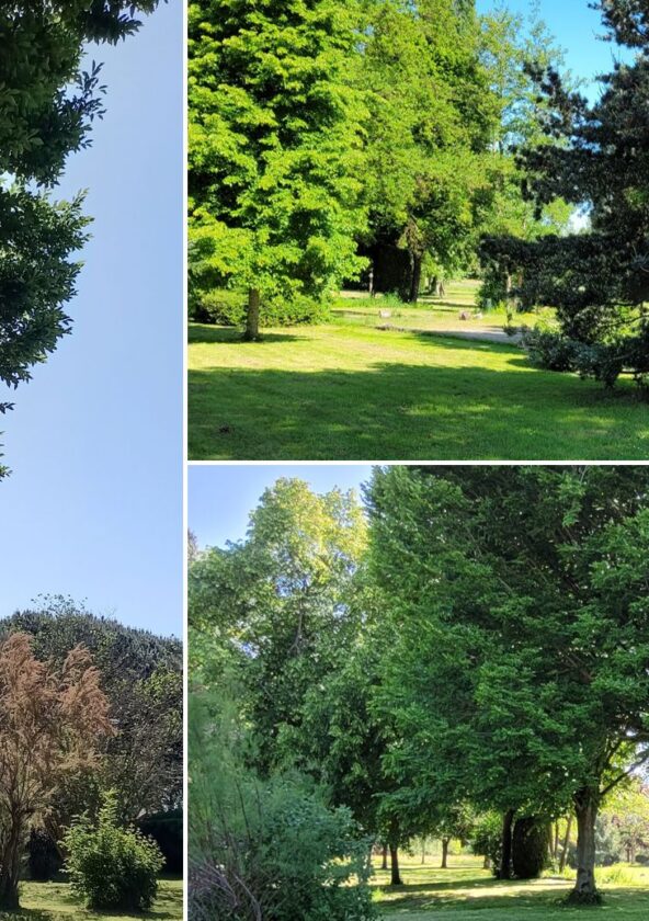 Parc du Douaire_Boissets
