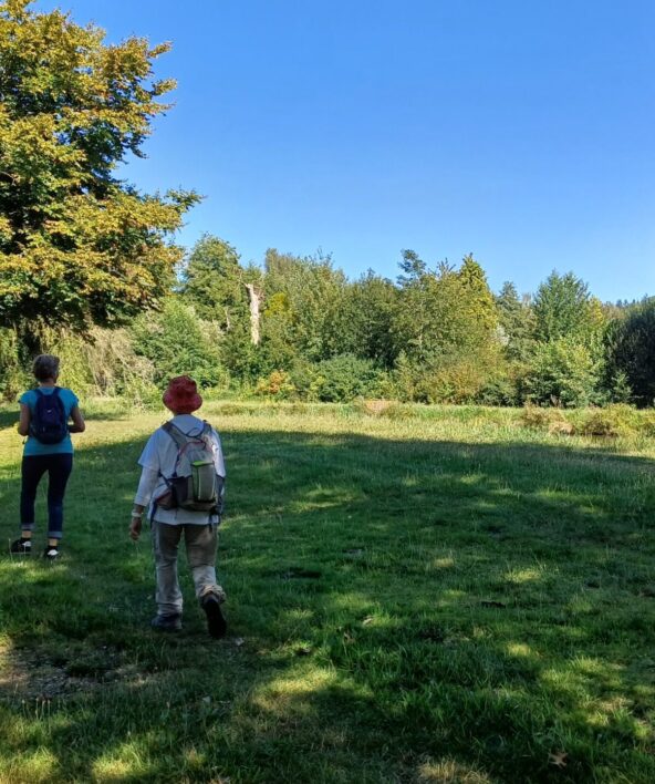 Randonnée accompagnée "Au fil des moulins"_Cernay-la-Ville